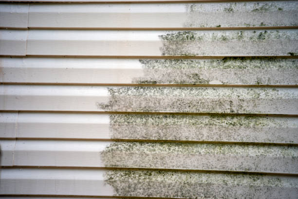 Professional Siding Installation & Repair in West Wood, UT